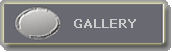 gallery button